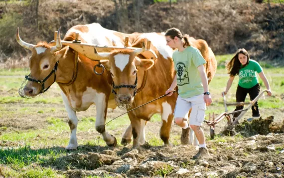 UC Irvine cool schools 2011