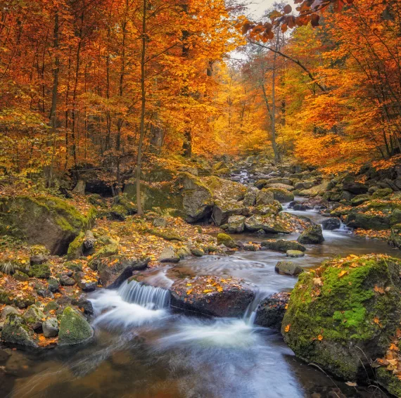 mountain stream