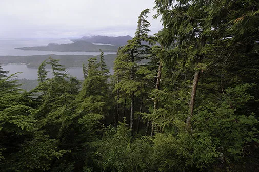 Tongass National Forest