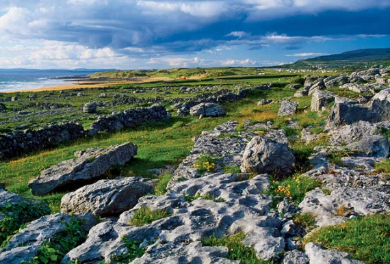 The burren