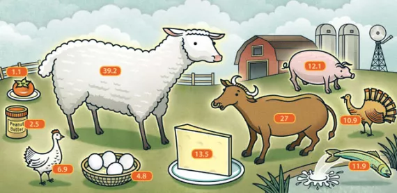 graphic showing the carbon footprint of farm animals