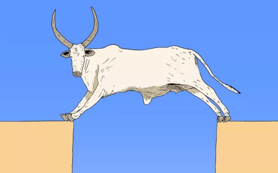 illustration of an animal standing on a splitting ground