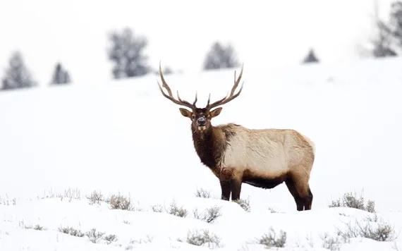 Photo by guyonbike/iStock