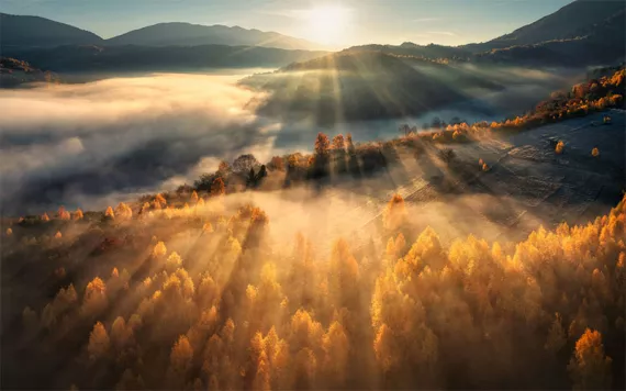 Sunrise over a misty forest