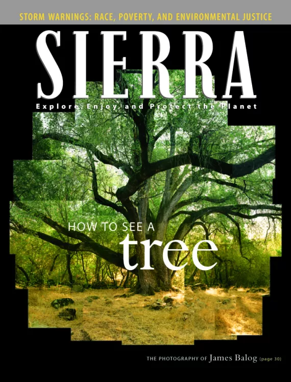 Sierra magazine November/December 2005
