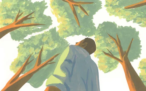 Illustration shows a man looking up at a canopy of trees