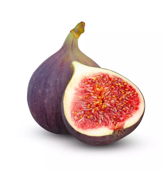 fig