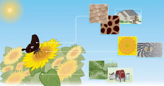 solar panel graphic
