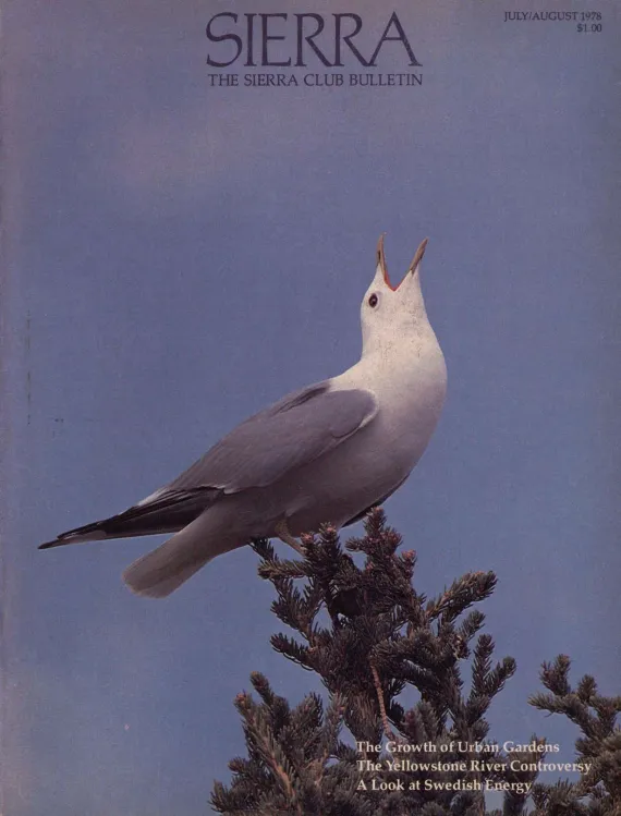 Sierra Club Bulletin July/August 1978