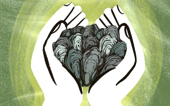 Illustration by Mercedes Minck
