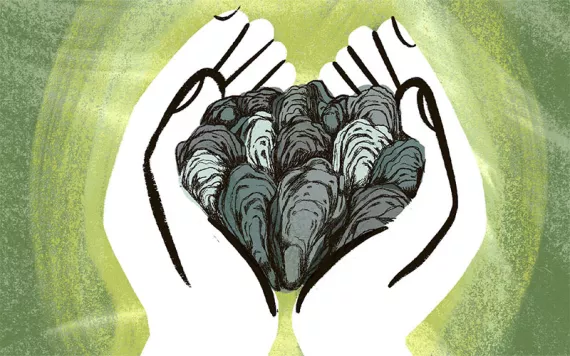 Illustration by Mercedes Minck