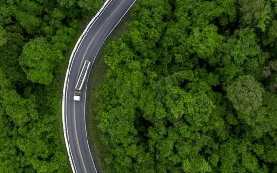 An aerial view of a forest fragmented by a road.