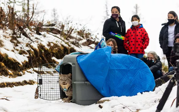 Photo by David Moskowitz