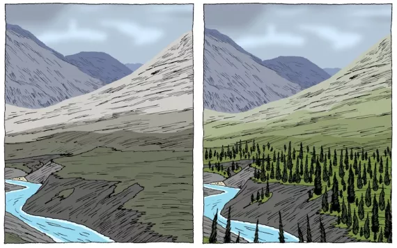 Illustration by Peter Arkle