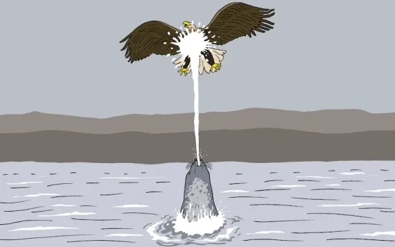 Illustration by Peter Arkle