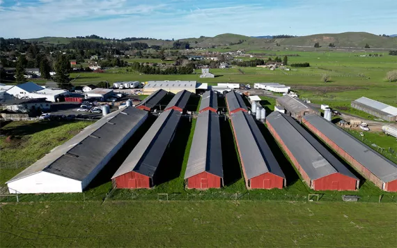 Photo by Terry Chea/AP