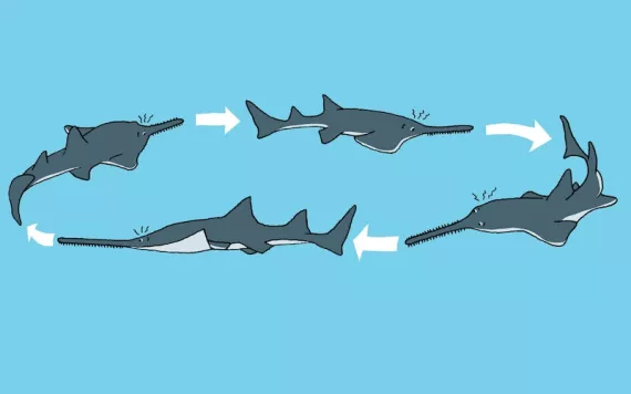 Illustration by Peter Arkle