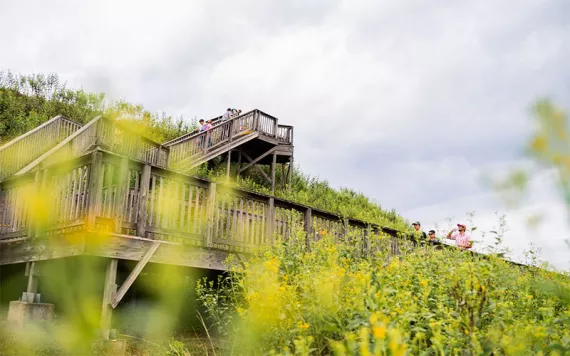 Ocmulgee Mounds National Historical Park steps to the Temple Mound
