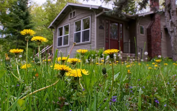 Photo by Anne Readel