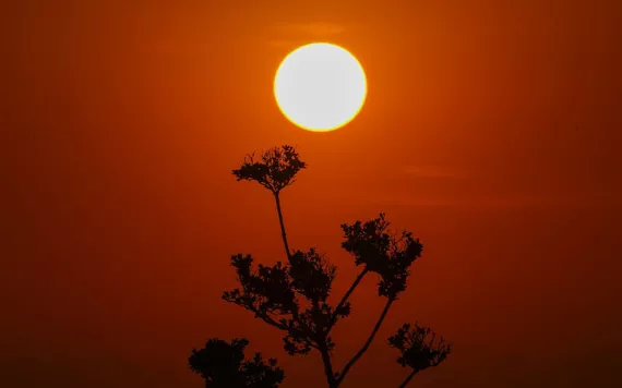 The sun rises amid high temperatures in Mexico City