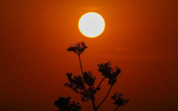 The sun rises amid high temperatures in Mexico City