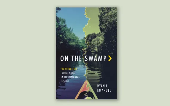 On the Swamp