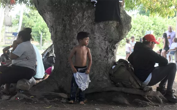 Photo by Joshua Collins