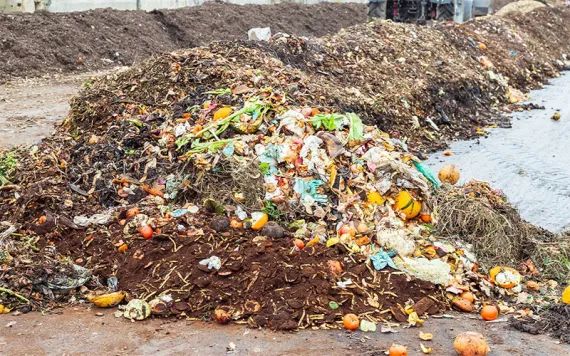 Collected organic waste at landfill.