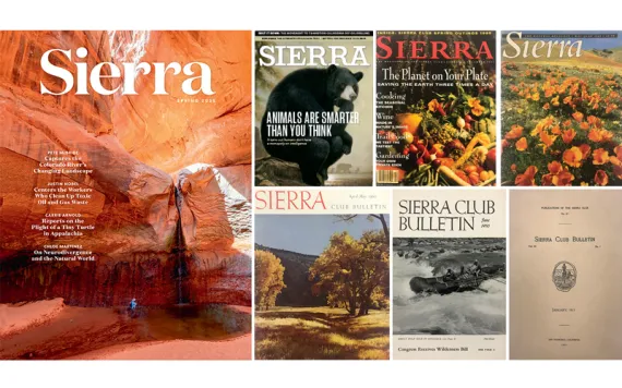 The current Sierra cover image of a redrock canyon and the Colorado River sits next to six previous covers of Sierra and the Sierra Club Bulletin.
