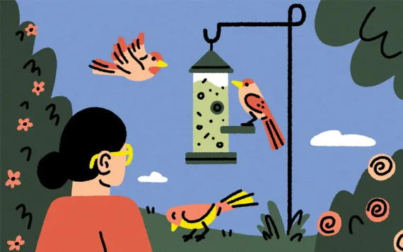  Illustration shows the back of a woman holding a mug and watching a bird feeder with three birds.