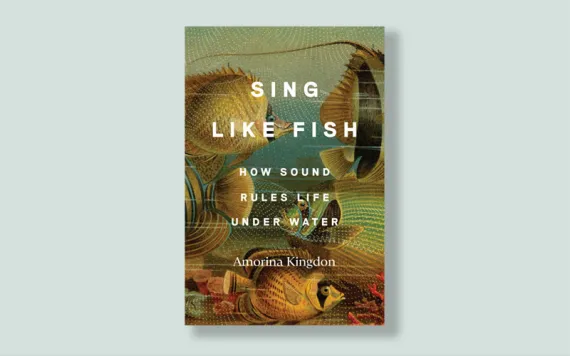 Sing Like Fish