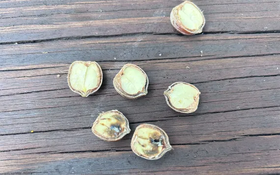 Photos by Katelyn Campbell/The Nature Conservancy