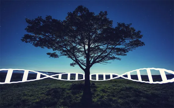 Illustration by shaunl/Getty Images