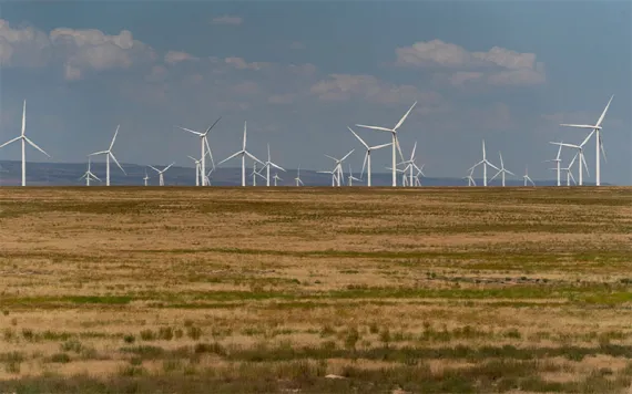 Photo by Lindsey Wasson/AP File