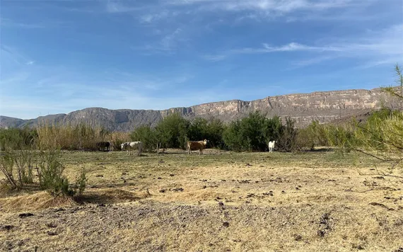 Photos by Margret Grebowicz