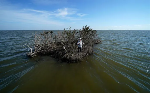 PJ Hahn, an environmental consultant and former Plaquemines Parish coastal zone manager, poses for a photo on a small patch of land with mangroves, which is all that remains after the land around it eroded away, in Plaquemines Parish, La