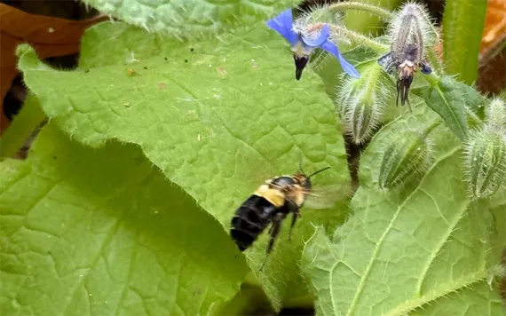 Photo by Anne Readel