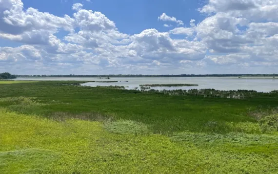 The Dixon Waterfowl Refuge has been restored over the past few decades by The Wetlands Initiative. Photo by Ethan Freedman.