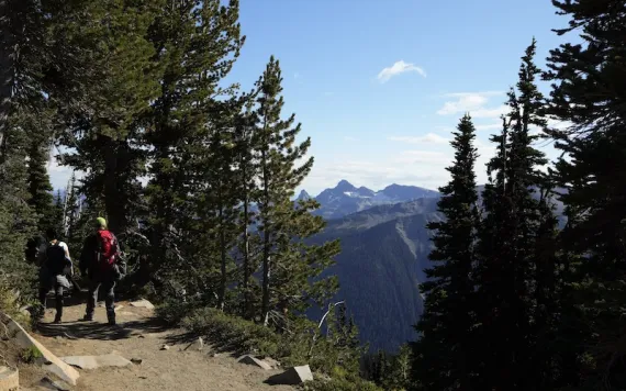 Photo by Lindsey Wasson/via AP