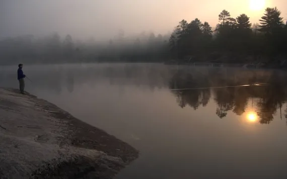 Photo by Will Matuska