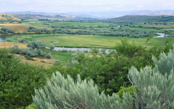 Photo by Scott Smith via Getty Images