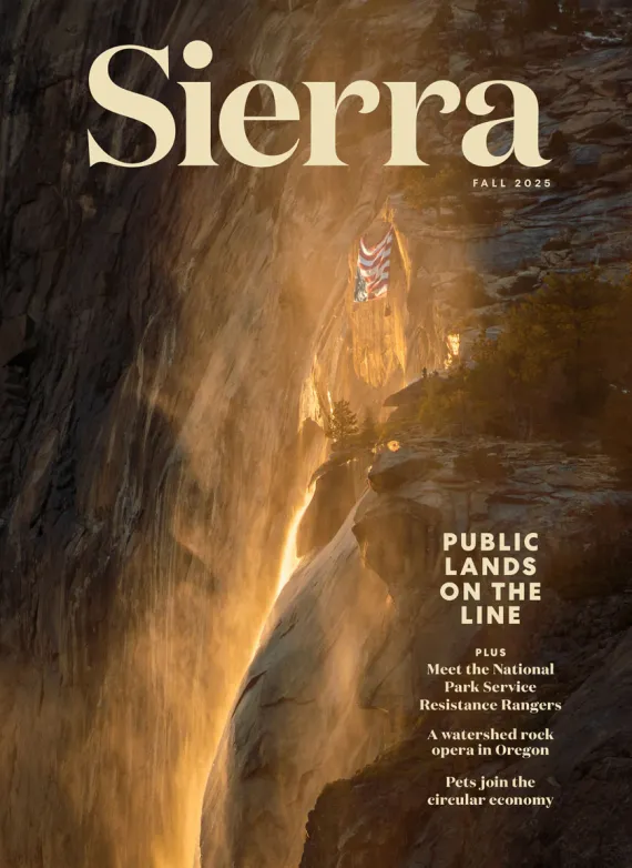 Sierra Magazine Fall 2025 Issue