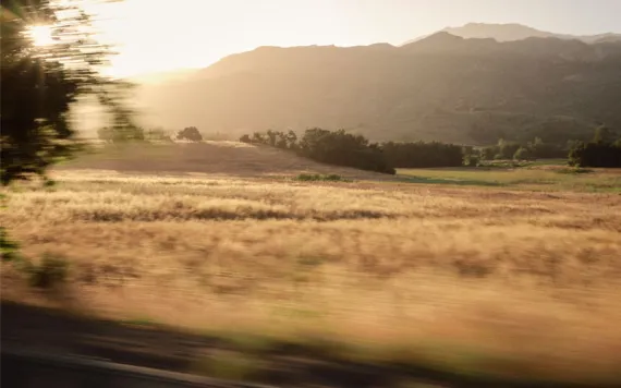 Blurry photo taken from a car shows a field of dried grass with forested mountains in the background.