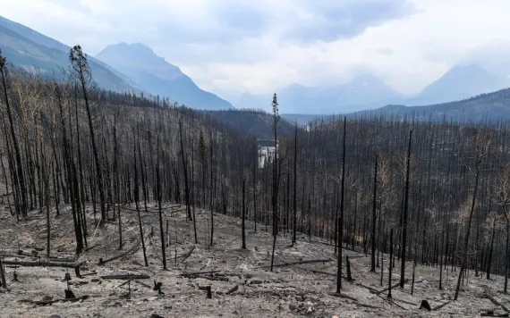 Photo courtesy of Luuk Wijk/Parks Canada