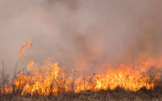 A prescribed fire rages across Acadia National Park. 