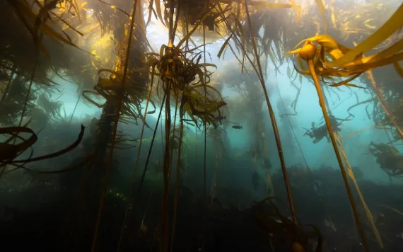 Photo by Jenny Adler