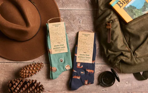 Photo courtesy of Conscious Step