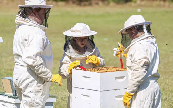 kids attend to bee hives on their school grounds