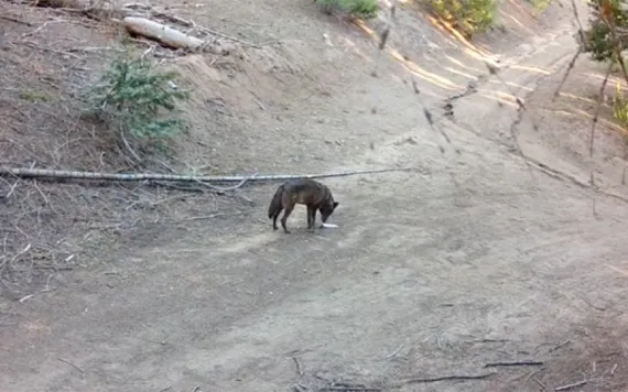 Photo courtesy of the State of California