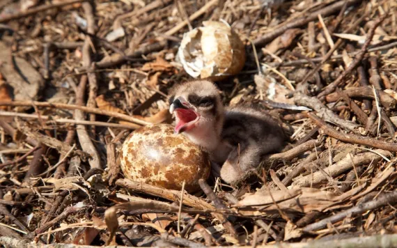 Photo courtesy of Bryan Watts